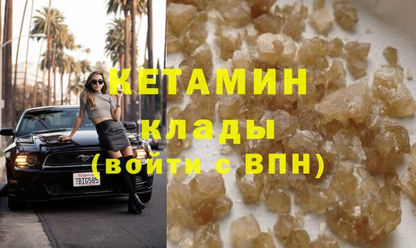 трава Белокуриха