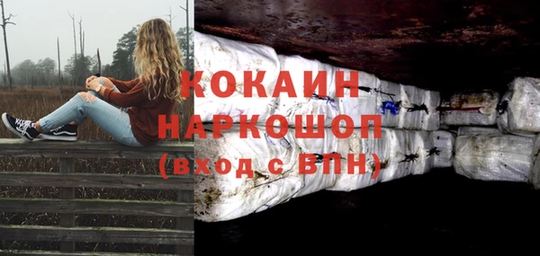 трава Белокуриха